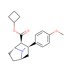 COc1ccc([C@H]2C[C@H]3CC[C@H]([C@H]2C(=O)OC2CCC2)N3C)cc1 ZINC000101221646