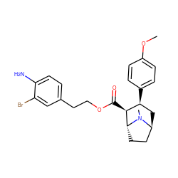 COc1ccc([C@H]2C[C@H]3CC[C@H]([C@H]2C(=O)OCCc2ccc(N)c(Br)c2)N3C)cc1 ZINC000101221889