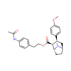 COc1ccc([C@H]2C[C@H]3CC[C@H]([C@H]2C(=O)OCCc2ccc(NC(C)=O)cc2)N3C)cc1 ZINC000101221886