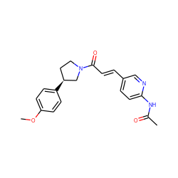 COc1ccc([C@H]2CCN(C(=O)/C=C/c3ccc(NC(C)=O)nc3)C2)cc1 ZINC000575606060