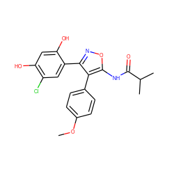 COc1ccc(-c2c(-c3cc(Cl)c(O)cc3O)noc2NC(=O)C(C)C)cc1 ZINC000299837344