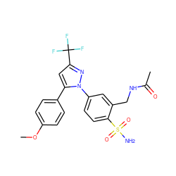 COc1ccc(-c2cc(C(F)(F)F)nn2-c2ccc(S(N)(=O)=O)c(CNC(C)=O)c2)cc1 ZINC000013588993