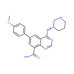 COc1ccc(-c2cc(C(N)=O)c3ncnc(N[C@H]4CCCNC4)c3c2)cc1 ZINC000114349338