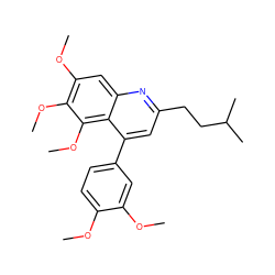 COc1ccc(-c2cc(CCC(C)C)nc3cc(OC)c(OC)c(OC)c23)cc1OC ZINC000026667477