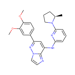 COc1ccc(-c2cc(Nc3cccc(N4CCC[C@H]4C)n3)c3nccn3n2)cc1OC ZINC000207396329