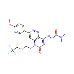 COc1ccc(-c2cc3c(nn2)c(NCC(=O)N(C)C)nc(=O)n3CCOCC(F)(F)F)cn1 ZINC000073159468