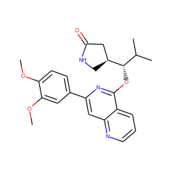 COc1ccc(-c2cc3ncccc3c(O[C@@H](C(C)C)[C@H]3CNC(=O)C3)n2)cc1OC ZINC000141940770