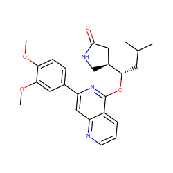 COc1ccc(-c2cc3ncccc3c(O[C@@H](CC(C)C)[C@H]3CNC(=O)C3)n2)cc1OC ZINC000141942007