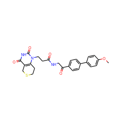 COc1ccc(-c2ccc(C(=O)CNC(=O)CCn3c4c(c(=O)[nH]c3=O)CSCC4)cc2)cc1 ZINC000013860418