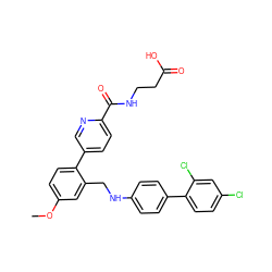 COc1ccc(-c2ccc(C(=O)NCCC(=O)O)nc2)c(CNc2ccc(-c3ccc(Cl)cc3Cl)cc2)c1 ZINC000148335120