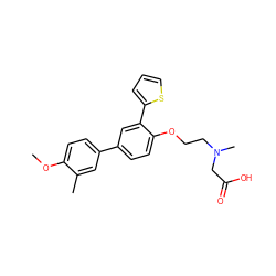 COc1ccc(-c2ccc(OCCN(C)CC(=O)O)c(-c3cccs3)c2)cc1C ZINC000028958377