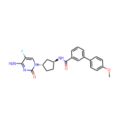 COc1ccc(-c2cccc(C(=O)N[C@H]3CC[C@H](n4cc(F)c(N)nc4=O)C3)c2)cc1 ZINC000049032428