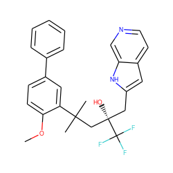 COc1ccc(-c2ccccc2)cc1C(C)(C)C[C@@](O)(Cc1cc2ccncc2[nH]1)C(F)(F)F ZINC000064426331