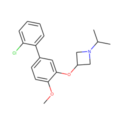 COc1ccc(-c2ccccc2Cl)cc1OC1CN(C(C)C)C1 ZINC000096175885