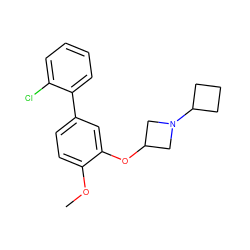 COc1ccc(-c2ccccc2Cl)cc1OC1CN(C2CCC2)C1 ZINC000096175886