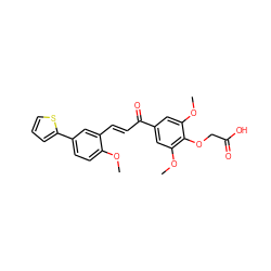 COc1ccc(-c2cccs2)cc1/C=C/C(=O)c1cc(OC)c(OCC(=O)O)c(OC)c1 ZINC000029321891