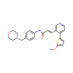 COc1ccc(-c2ccncc2/C=C/C(=O)Nc2ccc(CN3CCOCC3)cc2)s1 ZINC001772628362