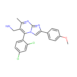 COc1ccc(-c2cn3c(-c4ccc(Cl)cc4Cl)c(CN)c(C)nc3n2)cc1 ZINC000038268592