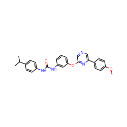 COc1ccc(-c2cncc(Oc3cccc(NC(=O)Nc4ccc(C(C)C)cc4)c3)n2)cc1 ZINC000473091431