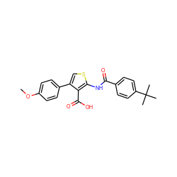 COc1ccc(-c2csc(NC(=O)c3ccc(C(C)(C)C)cc3)c2C(=O)O)cc1 ZINC000002060218