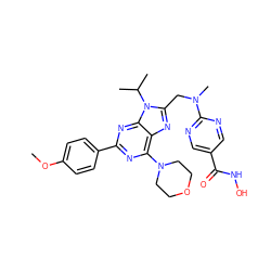 COc1ccc(-c2nc(N3CCOCC3)c3nc(CN(C)c4ncc(C(=O)NO)cn4)n(C(C)C)c3n2)cc1 ZINC000653838801