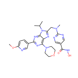 COc1ccc(-c2nc(N3CCOCC3)c3nc(CN(C)c4ncc(C(=O)NO)cn4)n(C(C)C)c3n2)cn1 ZINC000653834523