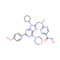 COc1ccc(-c2nc(N3CCOCC3)c3nc(CN(C)c4ncc(C(=O)NO)cn4)n(C4CCCC4)c3n2)cc1 ZINC000653834516