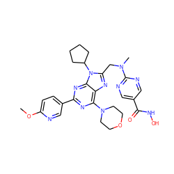 COc1ccc(-c2nc(N3CCOCC3)c3nc(CN(C)c4ncc(C(=O)NO)cn4)n(C4CCCC4)c3n2)cn1 ZINC000653834534