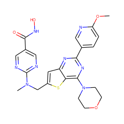 COc1ccc(-c2nc(N3CCOCC3)c3sc(CN(C)c4ncc(C(=O)NO)cn4)cc3n2)cn1 ZINC000073488511