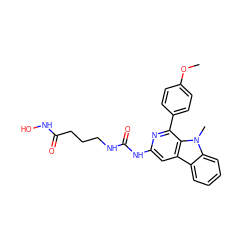 COc1ccc(-c2nc(NC(=O)NCCCC(=O)NO)cc3c4ccccc4n(C)c23)cc1 ZINC000653790352