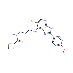 COc1ccc(-c2nc3c(NCCCN(C)C(=O)C4CCC4)c(Br)cnc3[nH]2)cc1 ZINC000084603154