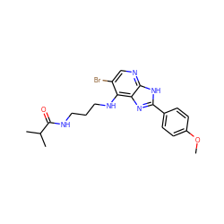 COc1ccc(-c2nc3c(NCCCNC(=O)C(C)C)c(Br)cnc3[nH]2)cc1 ZINC000084618020