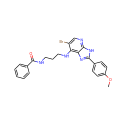 COc1ccc(-c2nc3c(NCCCNC(=O)c4ccccc4)c(Br)cnc3[nH]2)cc1 ZINC000084603160