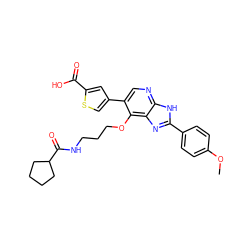 COc1ccc(-c2nc3c(OCCCNC(=O)C4CCCC4)c(-c4csc(C(=O)O)c4)cnc3[nH]2)cc1 ZINC000103248066