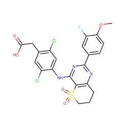 COc1ccc(-c2nc3c(c(Nc4cc(Cl)c(CC(=O)O)cc4Cl)n2)S(=O)(=O)CCC3)cc1F ZINC000103260007