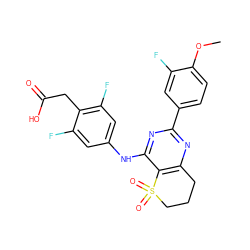 COc1ccc(-c2nc3c(c(Nc4cc(F)c(CC(=O)O)c(F)c4)n2)S(=O)(=O)CCC3)cc1F ZINC000103260002