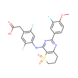 COc1ccc(-c2nc3c(c(Nc4cc(F)c(CC(=O)O)cc4F)n2)S(=O)(=O)CCC3)cc1F ZINC000103260000