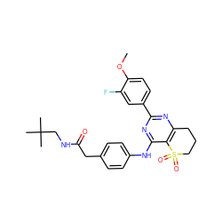 COc1ccc(-c2nc3c(c(Nc4ccc(CC(=O)NCC(C)(C)C)cc4)n2)S(=O)(=O)CCC3)cc1F ZINC000103259129