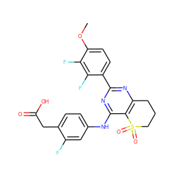 COc1ccc(-c2nc3c(c(Nc4ccc(CC(=O)O)c(F)c4)n2)S(=O)(=O)CCC3)c(F)c1F ZINC000103260013