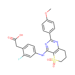 COc1ccc(-c2nc3c(c(Nc4ccc(CC(=O)O)c(F)c4)n2)S(=O)(=O)CCC3)cc1 ZINC000103260011