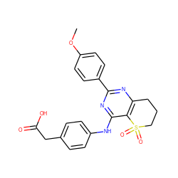 COc1ccc(-c2nc3c(c(Nc4ccc(CC(=O)O)cc4)n2)S(=O)(=O)CCC3)cc1 ZINC000103259168