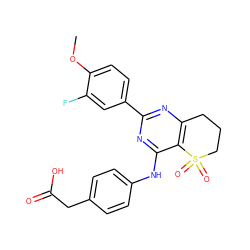 COc1ccc(-c2nc3c(c(Nc4ccc(CC(=O)O)cc4)n2)S(=O)(=O)CCC3)cc1F ZINC000103259213