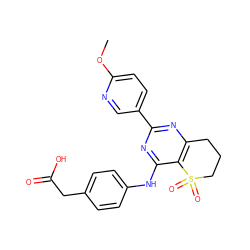 COc1ccc(-c2nc3c(c(Nc4ccc(CC(=O)O)cc4)n2)S(=O)(=O)CCC3)cn1 ZINC000103259175