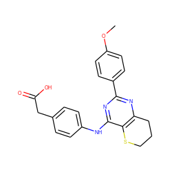 COc1ccc(-c2nc3c(c(Nc4ccc(CC(=O)O)cc4)n2)SCCC3)cc1 ZINC000103258737