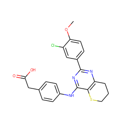 COc1ccc(-c2nc3c(c(Nc4ccc(CC(=O)O)cc4)n2)SCCC3)cc1Cl ZINC000103259165