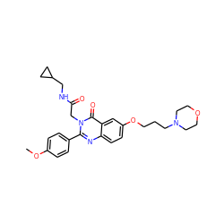 COc1ccc(-c2nc3ccc(OCCCN4CCOCC4)cc3c(=O)n2CC(=O)NCC2CC2)cc1 ZINC000066076999