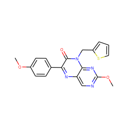 COc1ccc(-c2nc3cnc(OC)nc3n(Cc3cccs3)c2=O)cc1 ZINC000004238525