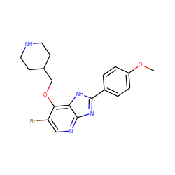 COc1ccc(-c2nc3ncc(Br)c(OCC4CCNCC4)c3[nH]2)cc1 ZINC000084618016