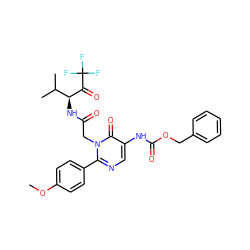 COc1ccc(-c2ncc(NC(=O)OCc3ccccc3)c(=O)n2CC(=O)N[C@H](C(=O)C(F)(F)F)C(C)C)cc1 ZINC000026018881