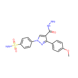 COc1ccc(-c2nn(-c3ccc(S(N)(=O)=O)cc3)cc2C(=O)NN)cc1 ZINC000103248237